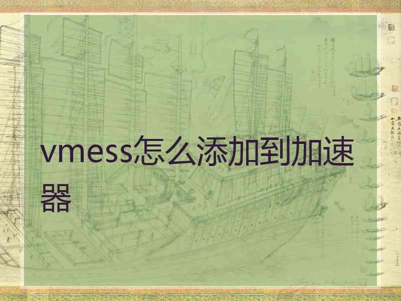 vmess怎么添加到加速器