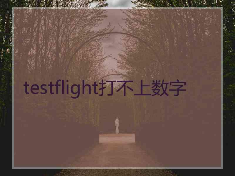 testflight打不上数字