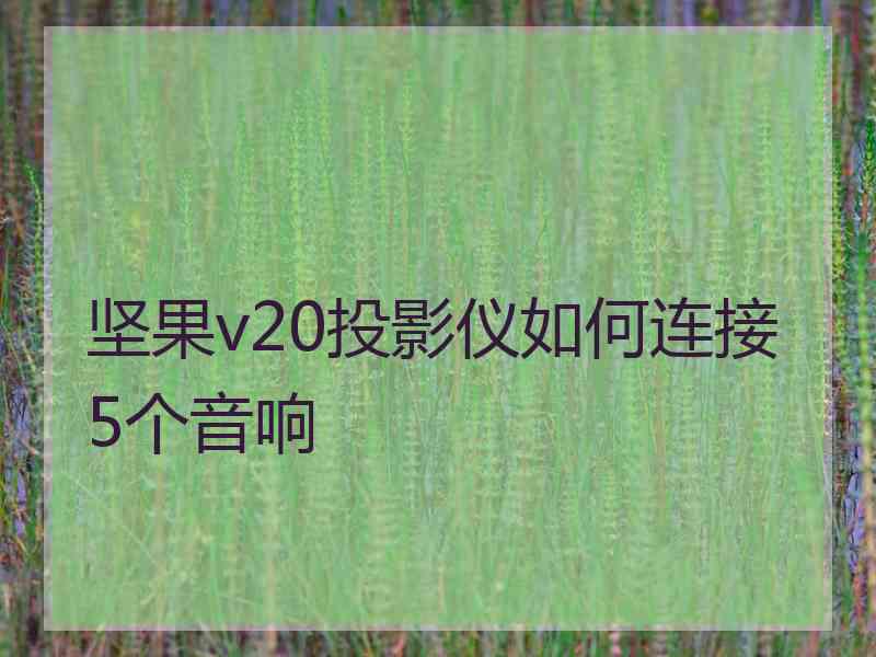 坚果v20投影仪如何连接5个音响