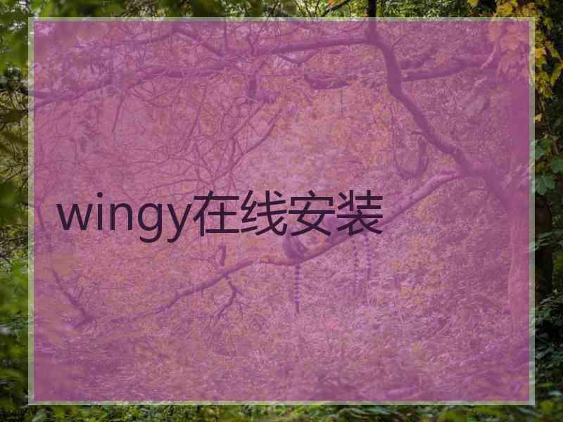 wingy在线安装