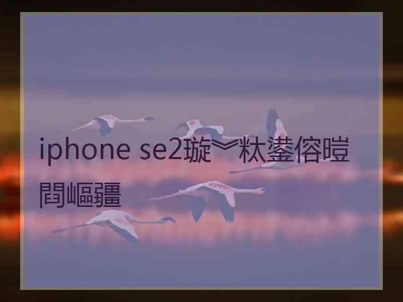 iphone se2璇︾粏鍙傛暟閰嶇疆