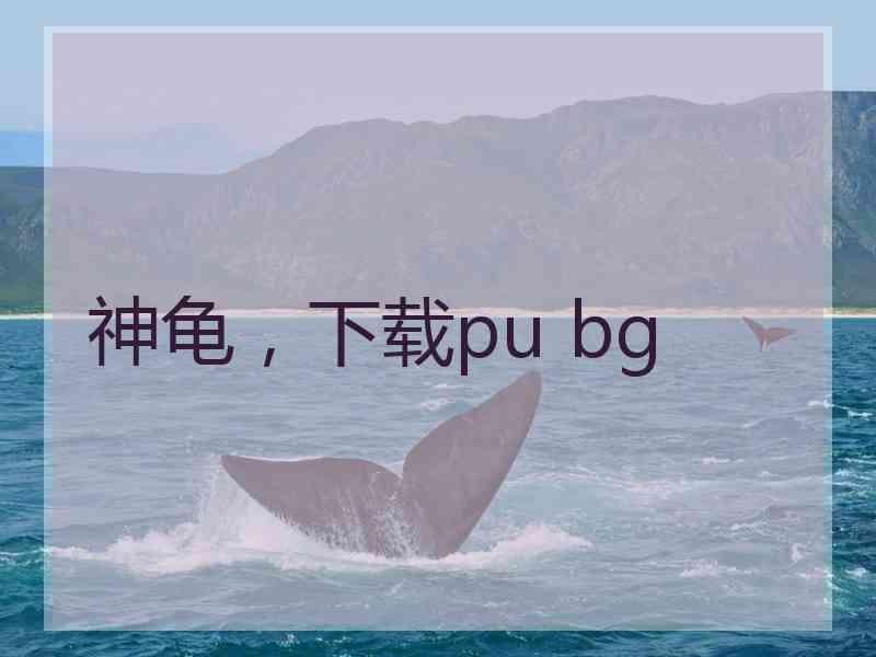 神龟，下载pu bg