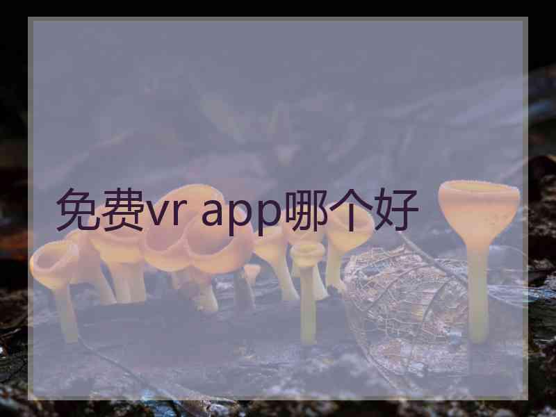 免费vr app哪个好