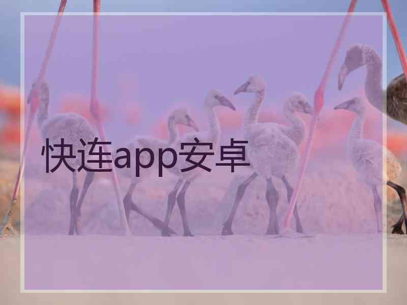 快连app安卓