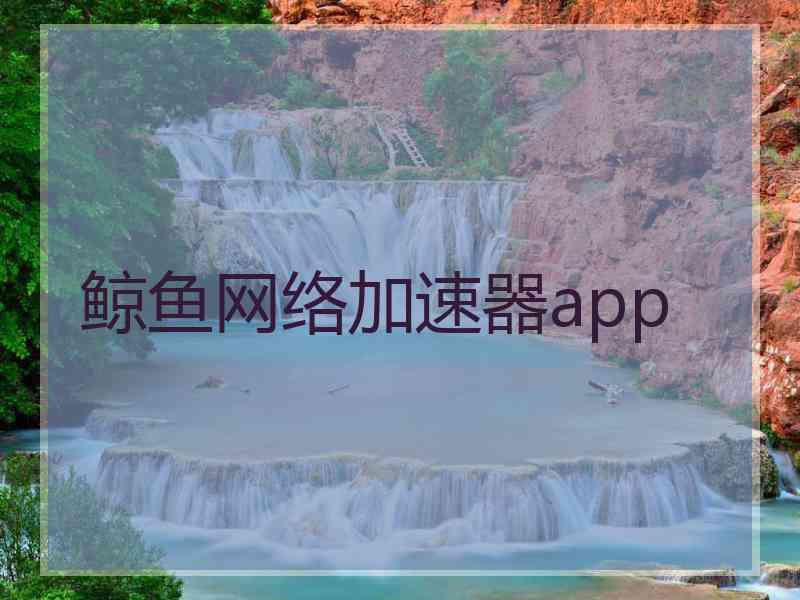 鲸鱼网络加速器app