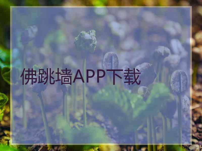 佛跳墙APP下载