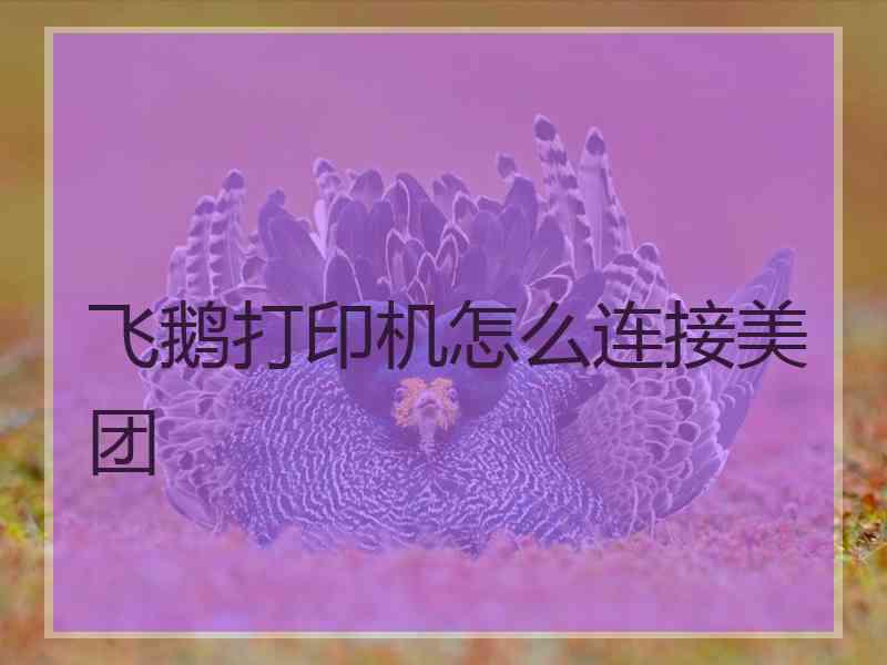 飞鹅打印机怎么连接美团