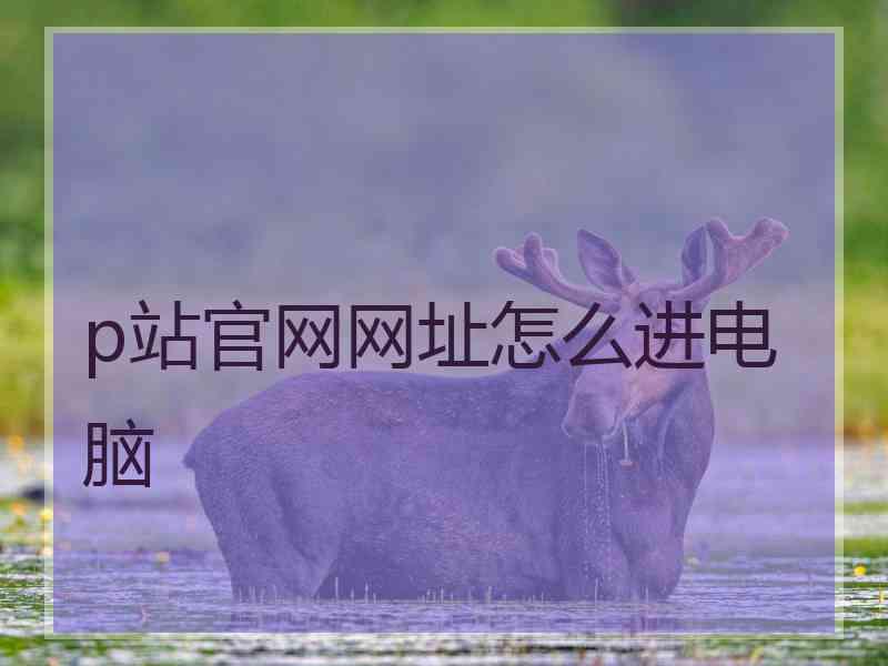 p站官网网址怎么进电脑