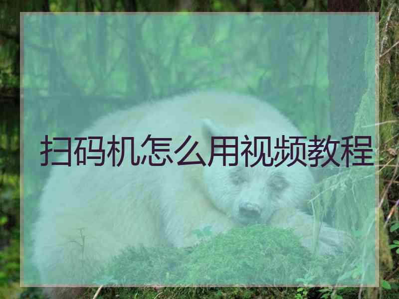 扫码机怎么用视频教程