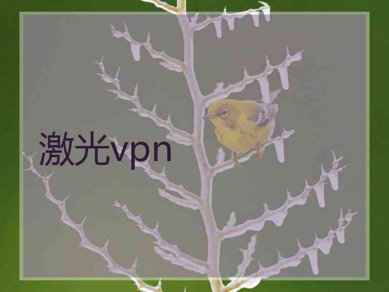 激光vpn