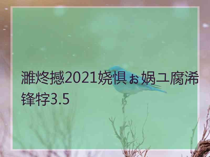 濉炵撼2021娆惧ぉ娲ユ腐浠锋牸3.5