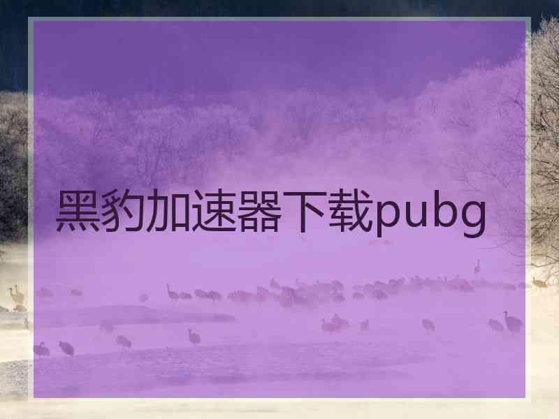 黑豹加速器下载pubg