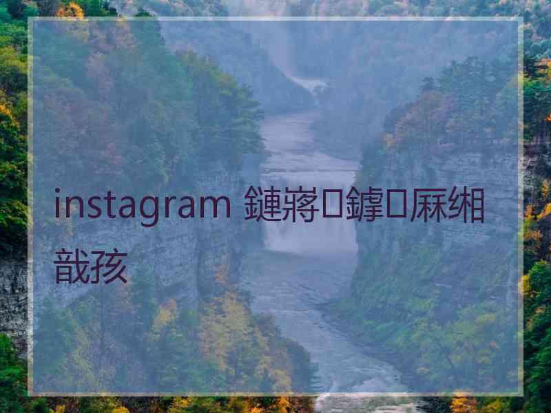 instagram 鏈嶈鎼厤缃戠孩