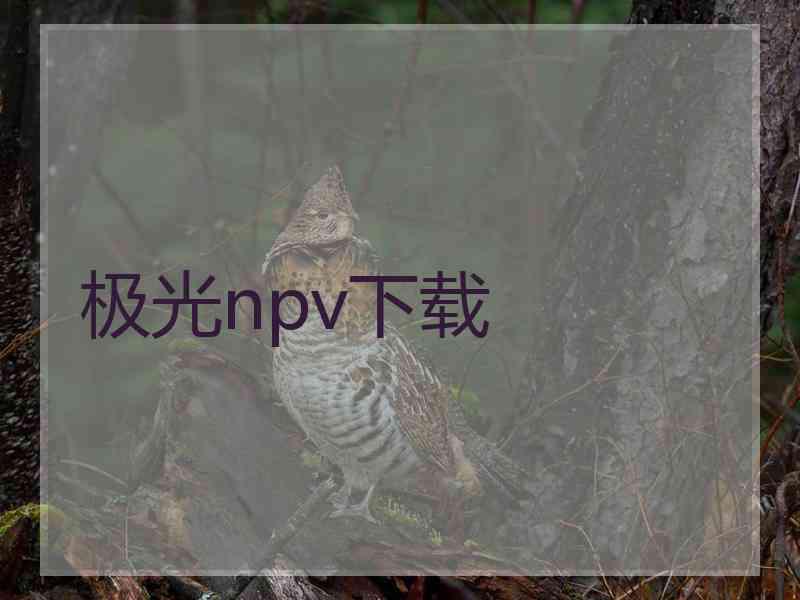 极光npv下载