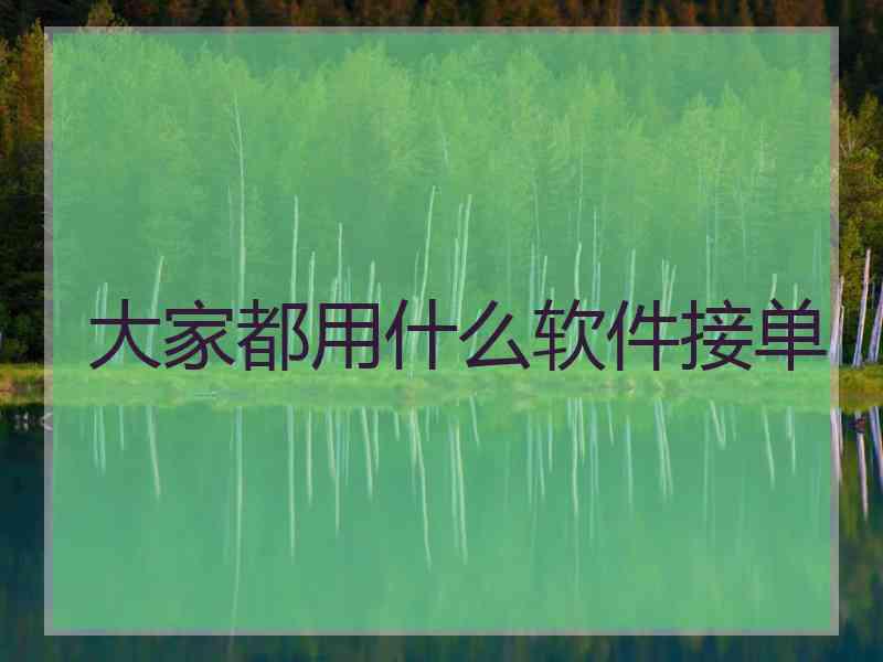 大家都用什么软件接单