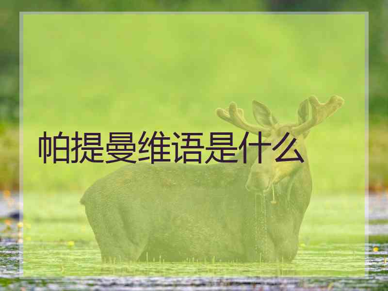 帕提曼维语是什么