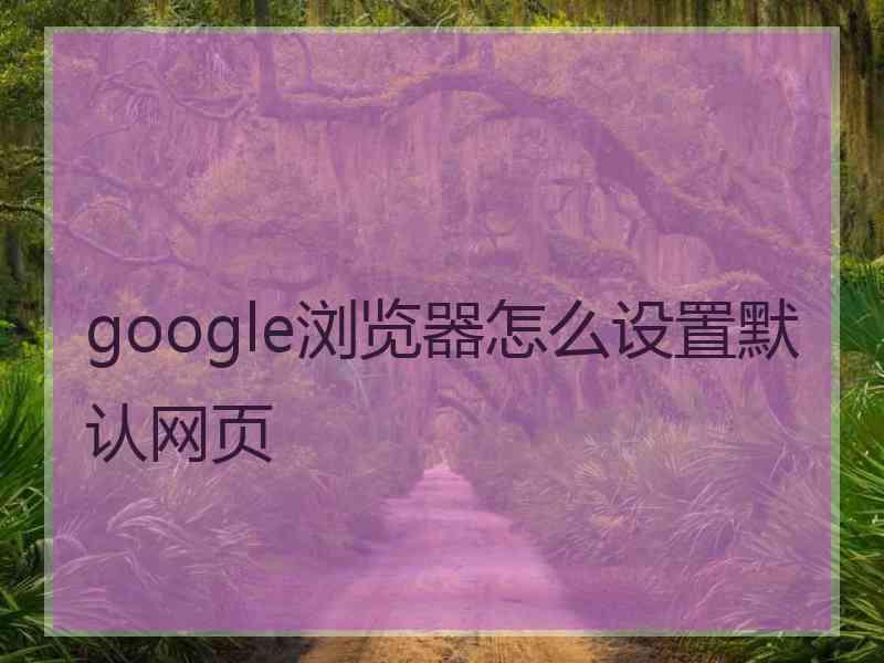 google浏览器怎么设置默认网页