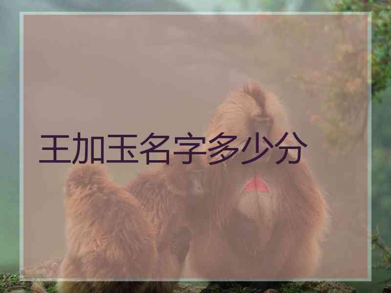 王加玉名字多少分