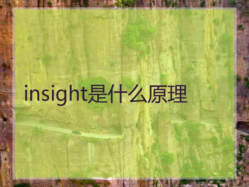 insight是什么原理