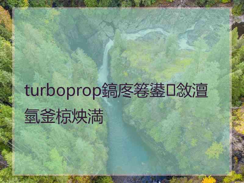 turboprop鎬庝箞鍙敜澶氫釜椋炴満