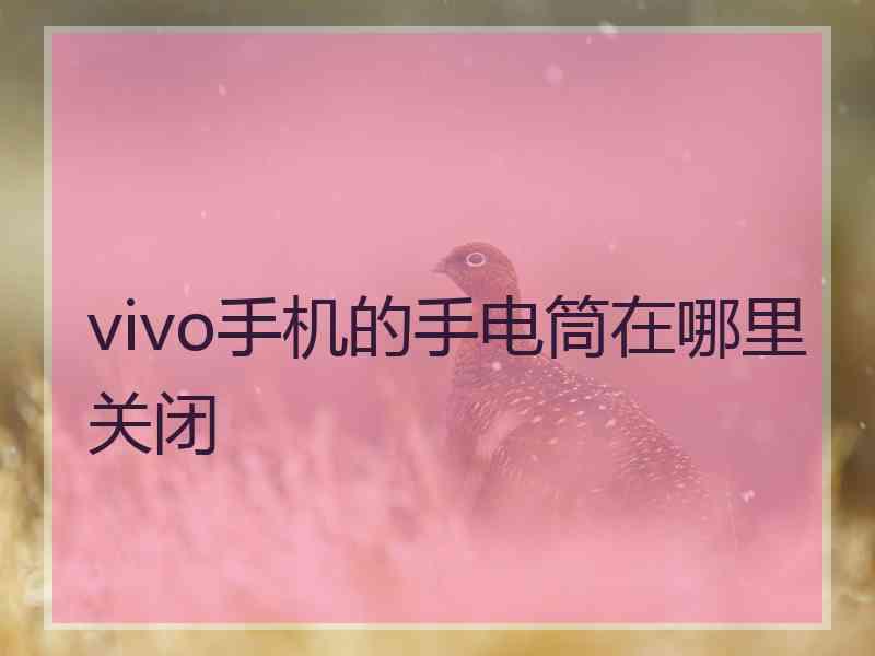 vivo手机的手电筒在哪里关闭