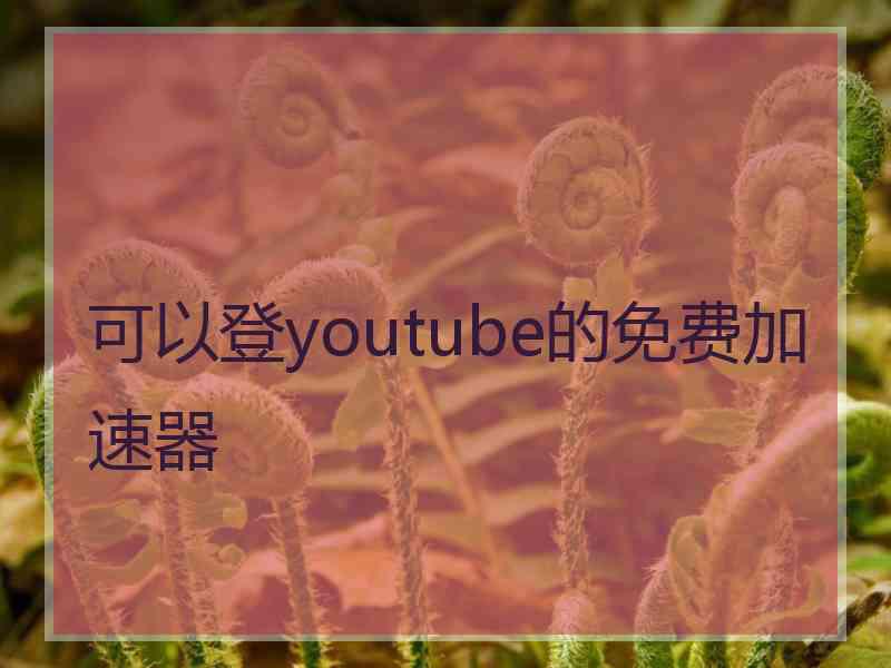 可以登youtube的免费加速器