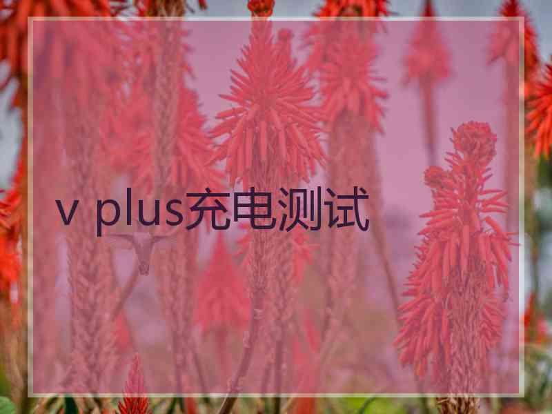 v plus充电测试