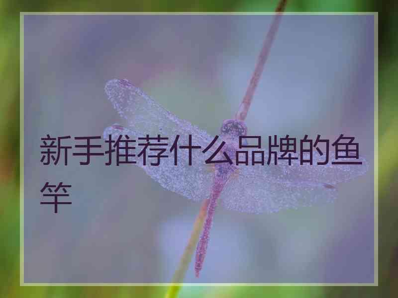 新手推荐什么品牌的鱼竿