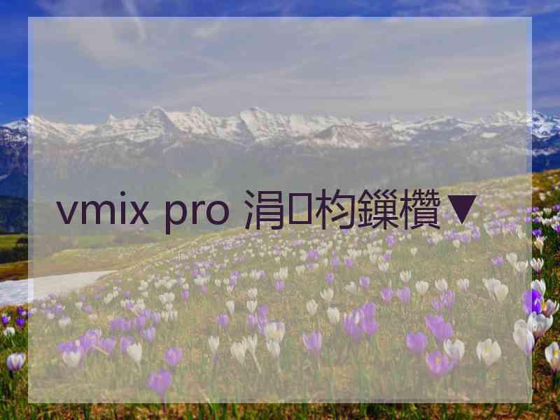 vmix pro 涓枃鏁欑▼