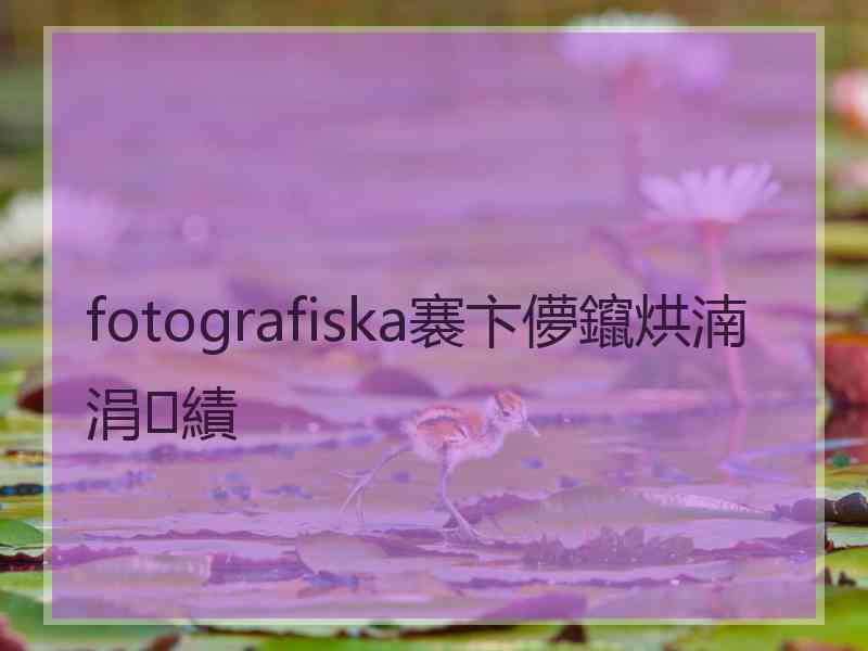 fotografiska褰卞儚鑹烘湳涓績