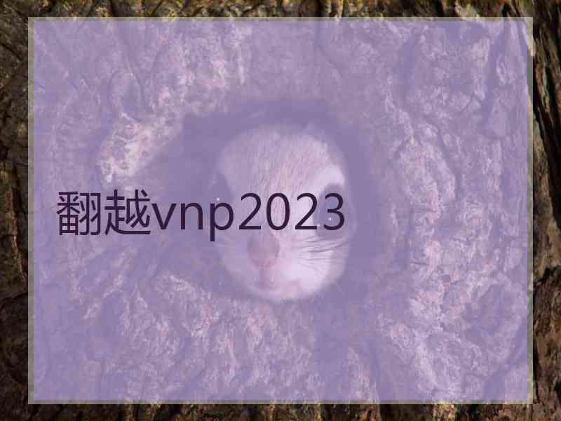 翻越vnp2023