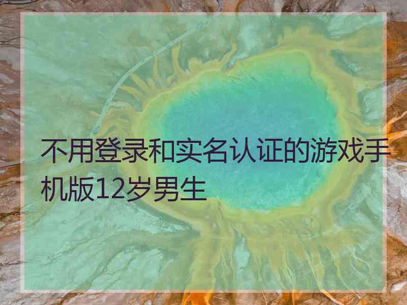 不用登录和实名认证的游戏手机版12岁男生