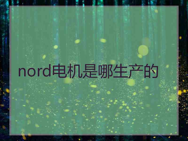 nord电机是哪生产的