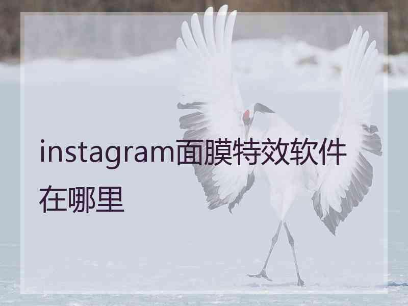 instagram面膜特效软件在哪里