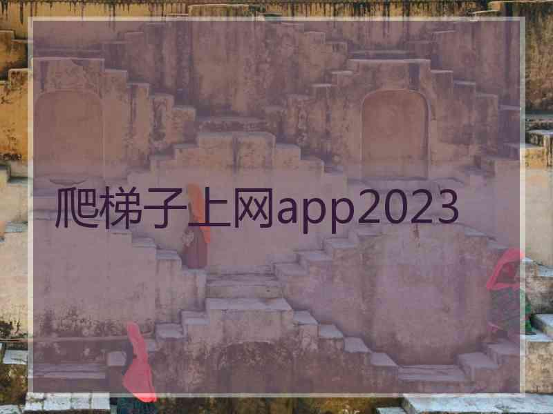 爬梯子上网app2023