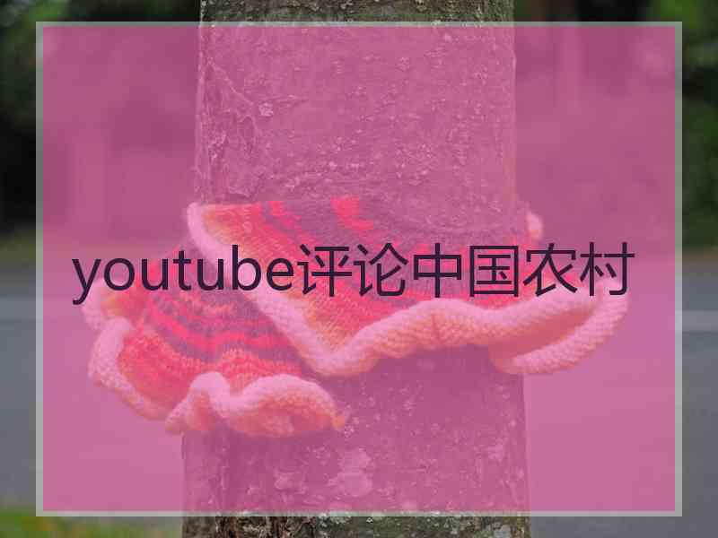 youtube评论中国农村