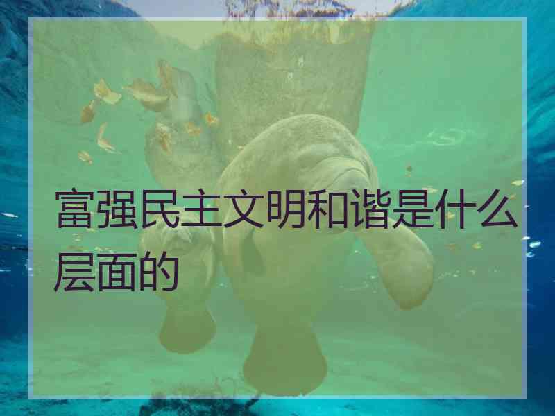 富强民主文明和谐是什么层面的