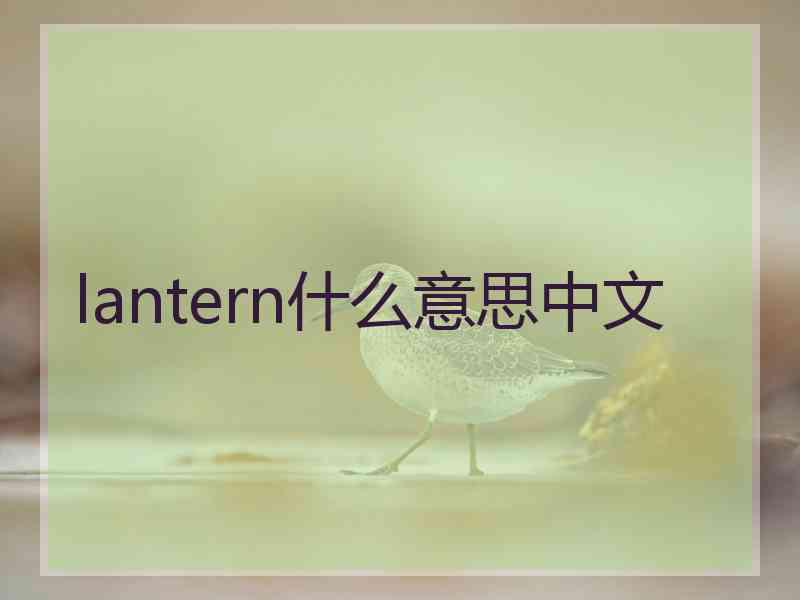 lantern什么意思中文