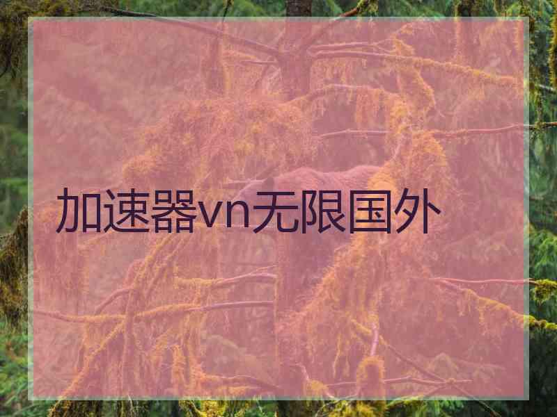 加速器vn无限国外