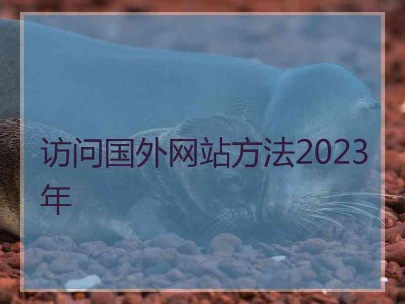 访问国外网站方法2023年