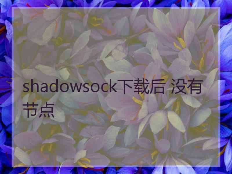 shadowsock下载后 没有节点