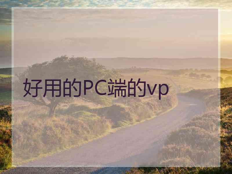 好用的PC端的vp