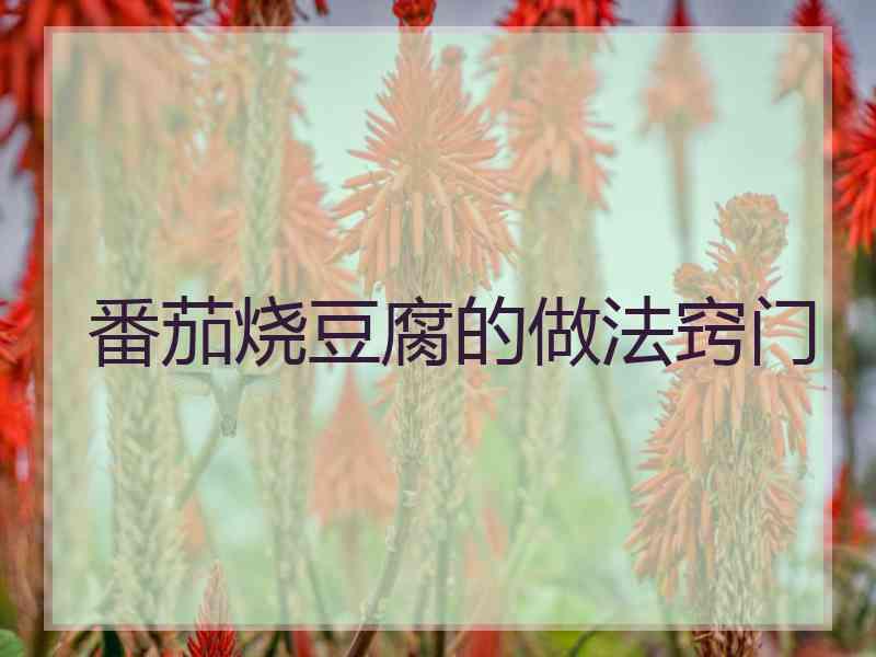 番茄烧豆腐的做法窍门