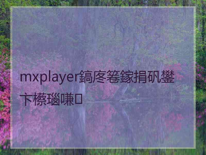 mxplayer鎬庝箞鎵捐矾鐢卞櫒瑙嗛