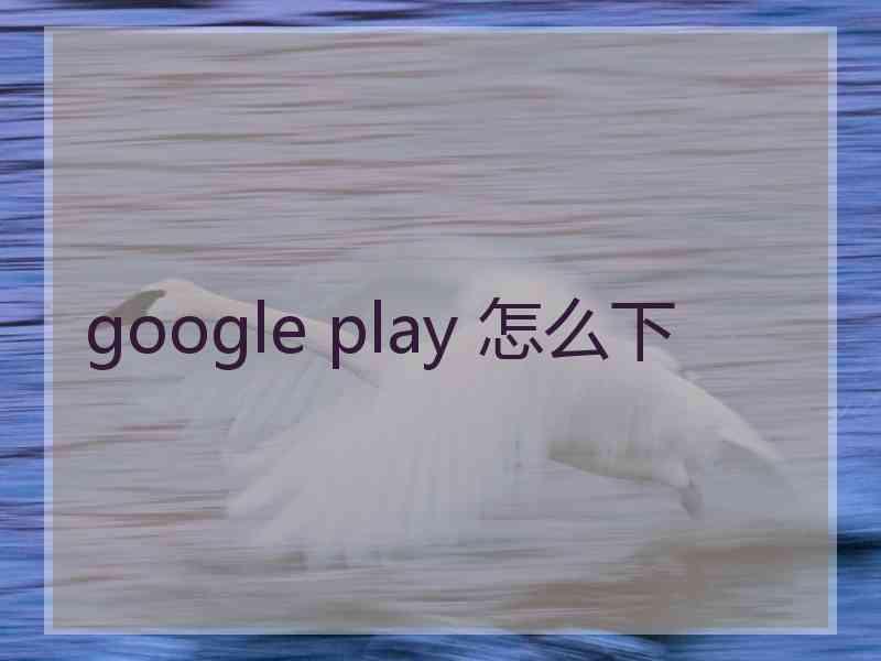 google play 怎么下