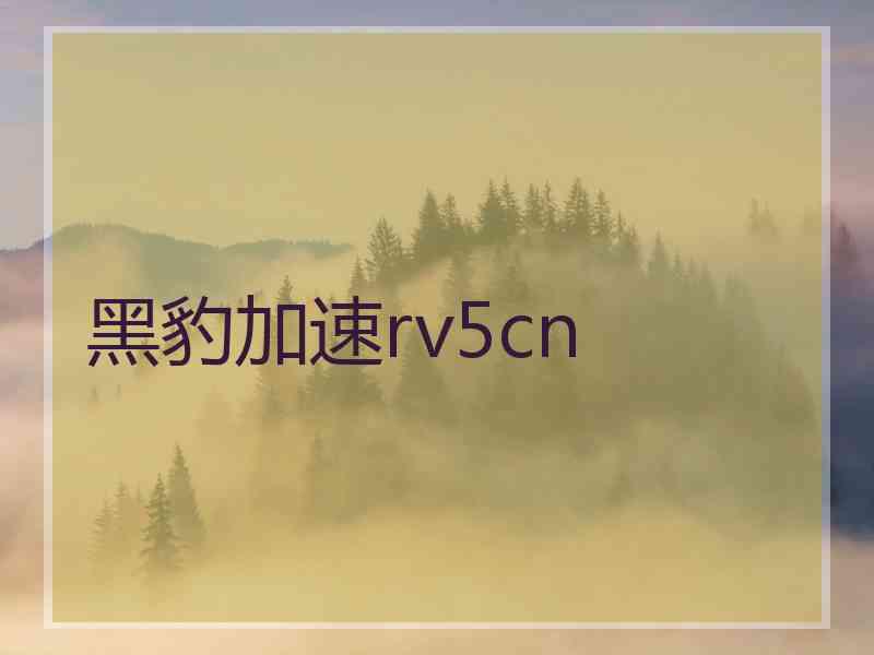 黑豹加速rv5cn