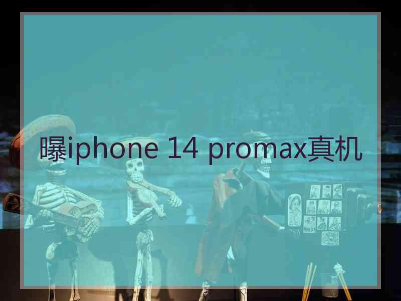 曝iphone 14 promax真机