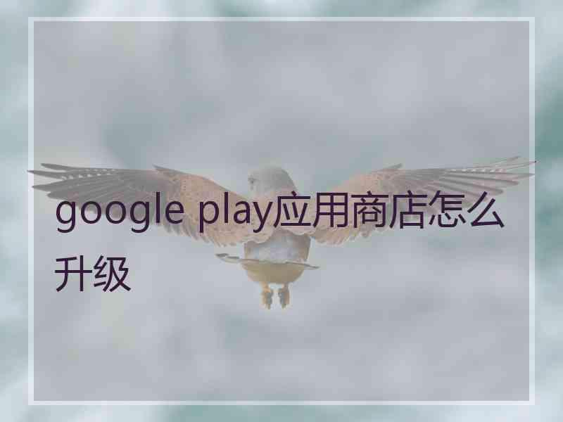 google play应用商店怎么升级