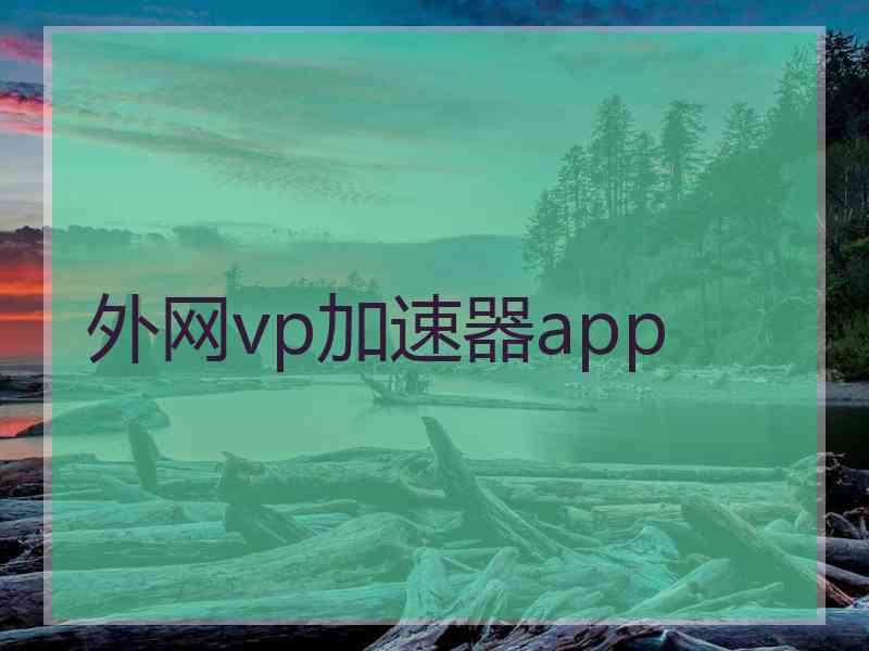 外网vp加速器app