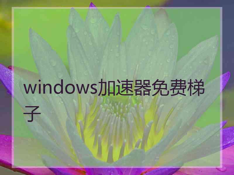 windows加速器免费梯子